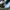 New Balance Fresh Foam More Trail V3 Salt Marsh Limelight photo 6