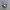 New Balance 1906L Grey photo 2