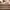PEDRO LIZARD EFFECT ENVELOPE photo 8