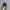Salomon Gore-Tex Black Silver photo 4