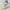 Asics Magic Speed White Lime Green photo 2
