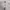 Vintage Minimalist Flare pants Nude photo 3