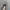 Salomon S/Lab XT-6 White Grey photo 4