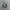 Salomon S/Lab XT-6 White Grey photo 2