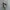 Salomon S/Lab XT-6 White Grey photo 1