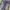 “UNKNOWN” Blue Prewash Fade Jeans Pants (Regular Fit) photo 4
