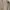 cardigan beige knit jennie wanita photo 3