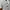 Atasan Crop Wanita Lengan Pendek Warna Cream photo 5