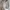 zara zippered high collar sweater cardigan beige  photo 2
