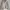 zara zippered high collar sweater cardigan beige  photo 1
