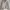 Zara Zippered High Collar Sweater Cardigan Beige 