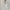 Zara Casual Crop top Wanita white photo 1