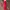 Y2K Luxury Evening Dress Wanita Red
