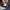 Beverly Hills Polo Club Luxury Casual Pria navy blue photo 6