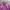 X-girl Streetwear Sportswear Jumper Pria purple photo 3