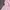 Long Kimono Dress Pink Coquette