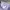 Crewneck Nike Small Swoosh Lilac photo 3