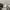 UP Renoma Japan True White Script Polo Long photo 6