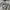 Kangol Streetwear Sportswear T-shirt Pria gray photo 3