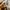 wrangler baggy jeans carpenter photo 5