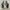 skechers grey photo 4