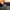 skechers slip on photo 7