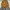 Levi’s Faux Suede Varsity Bomber Jacket (3A-54) photo 7