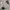 Field Member Outdoor Jacket Camo Military photo 3