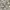 Field Member Outdoor Jacket Camo Military photo 5