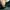 skechers slip on photo 7
