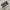 skechers grey photo 1