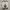skechers grey photo 6