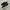 skechers photo 1