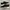 skechers photo 3