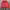 Nike 90’s Tracksuit Nylon Footprint Pink (3A-72) photo 1