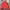 Nike 90’s Tracksuit Nylon Footprint Pink (3A-72) photo 7