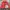 Nike 90’s Tracksuit Nylon Footprint Pink (3A-72) photo 4