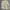 Celana Pendek Vintage LEVIS Japan Cargo Shortpants Original photo 1
