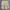 Celana Pendek Vintage LEVIS Japan Cargo Shortpants Original