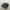 Nike TN photo 1
