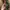 Iphone xr 64gb BEACUKAI photo 3