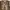 Knitwear Vintage Brown ala Coogi photo 6