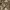 Knitwear Vintage Brown ala Coogi photo 8