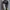 Sepatu VANS x GRAMICCI Sneakers Rare Item Original photo 4