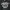 MLB Streetwear Sportswear Sweatshirt Pria black photo 5