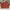 Lorpi L27 Pocket Extra Calfskin