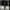Nike AJ 1 Low Smoke Grey 41 photo 3