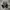 Adidas MC X1 top photo 5
