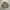 Ixiz Army Outer Jacket photo 2