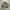 Ixiz Army Outer Jacket
